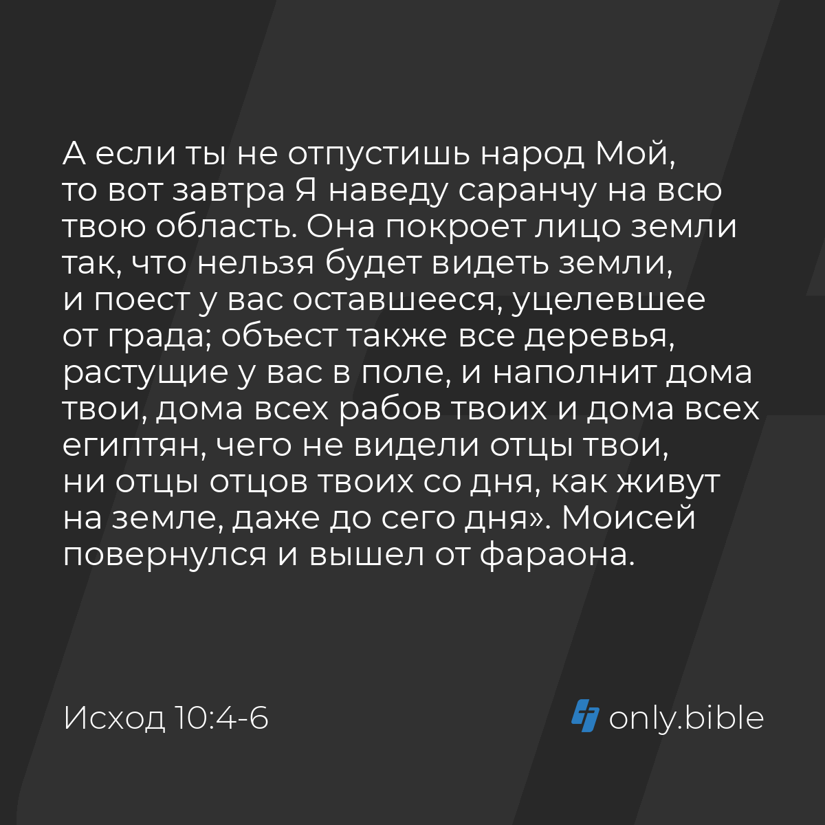 Исход 10:4-6 / Русский синодальный перевод (Юбилейное издание) | Библия  Онлайн