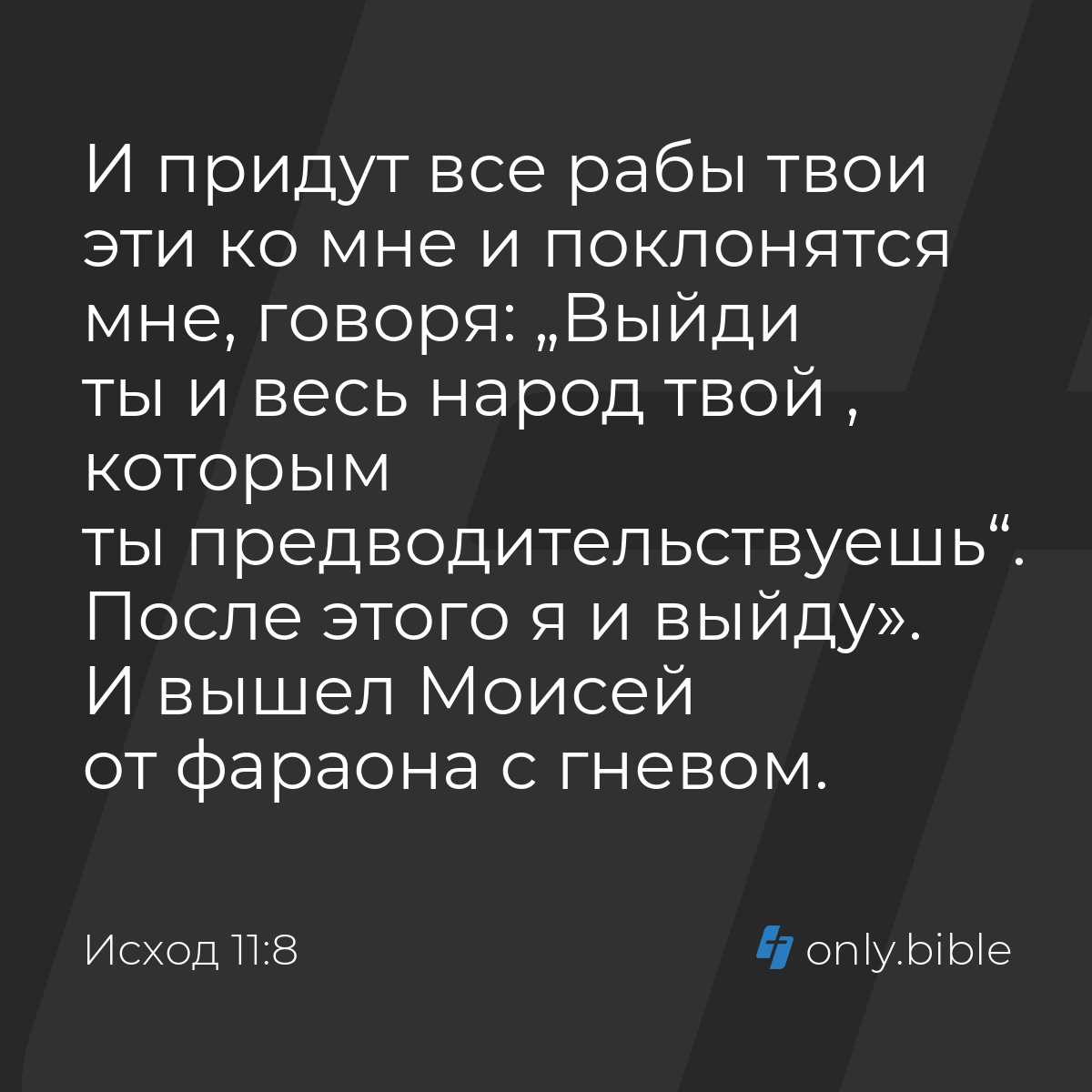 Исход 11:8 / Русский синодальный перевод (Юбилейное издание) | Библия Онлайн