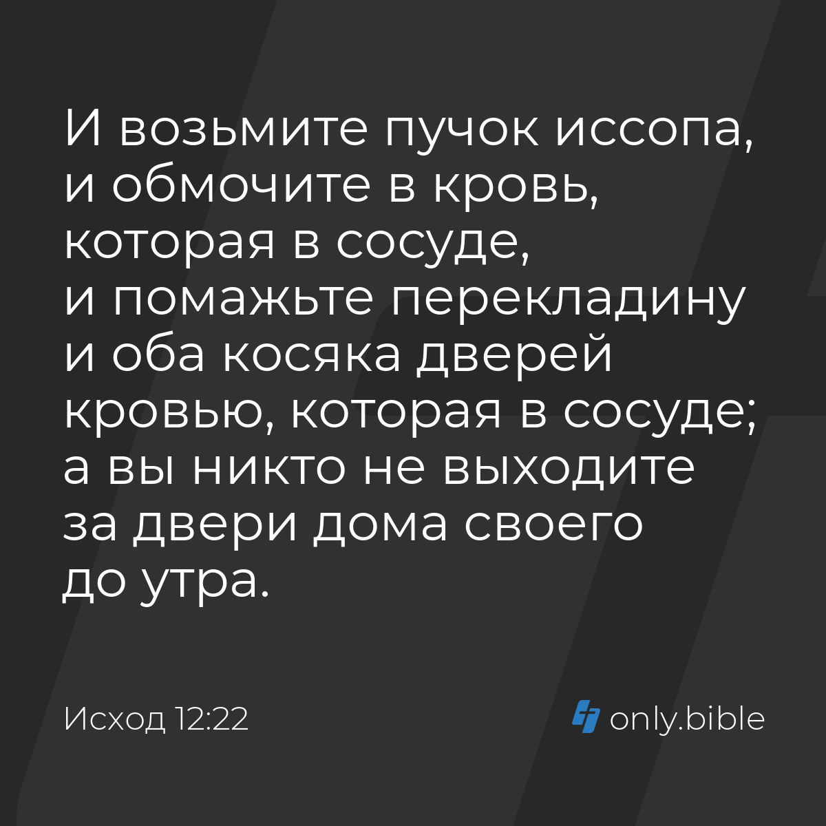 Исход 12:22 / Русский синодальный перевод (Юбилейное издание) | Библия  Онлайн