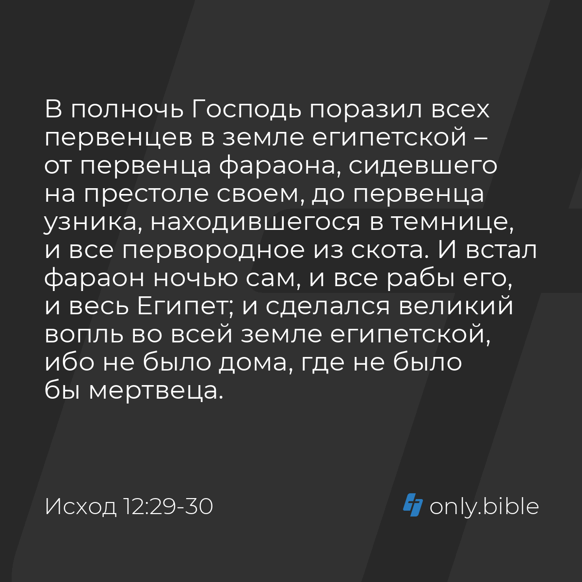 Исход 12:29-30 / Русский синодальный перевод (Юбилейное издание) | Библия  Онлайн