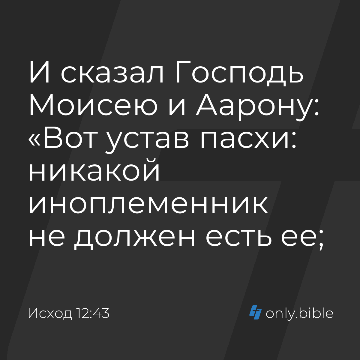 Исход 12:43 / Русский синодальный перевод (Юбилейное издание) | Библия  Онлайн