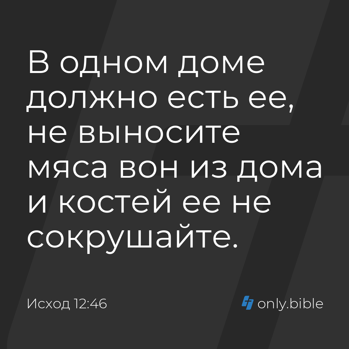 Исход 12:46 / Русский синодальный перевод (Юбилейное издание) | Библия  Онлайн