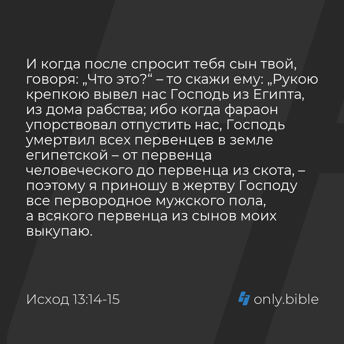 Исход 13:14-16 / Русский синодальный перевод (Юбилейное издание) | Библия  Онлайн