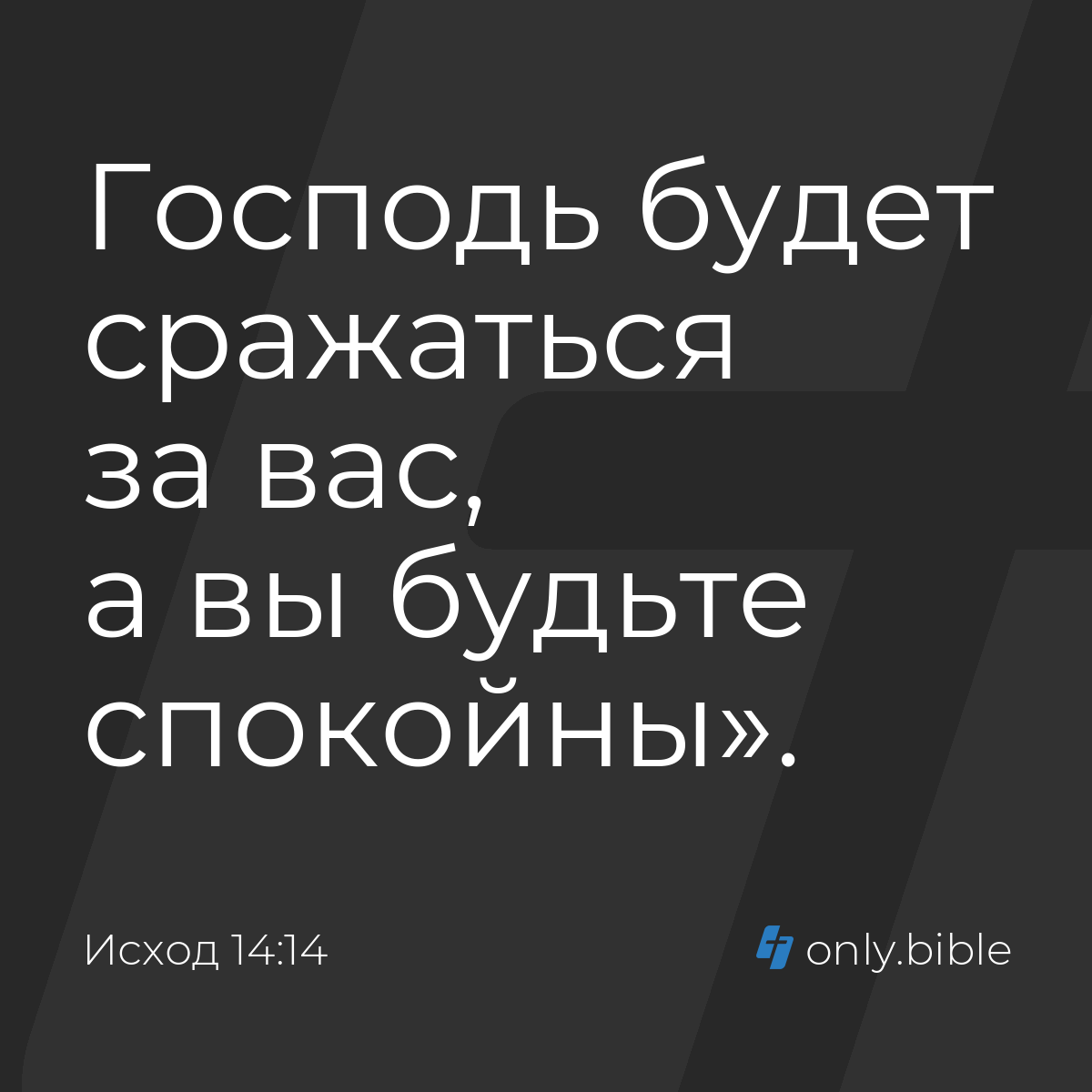 Исход 14:14 / Русский синодальный перевод (Юбилейное издание) | Библия  Онлайн