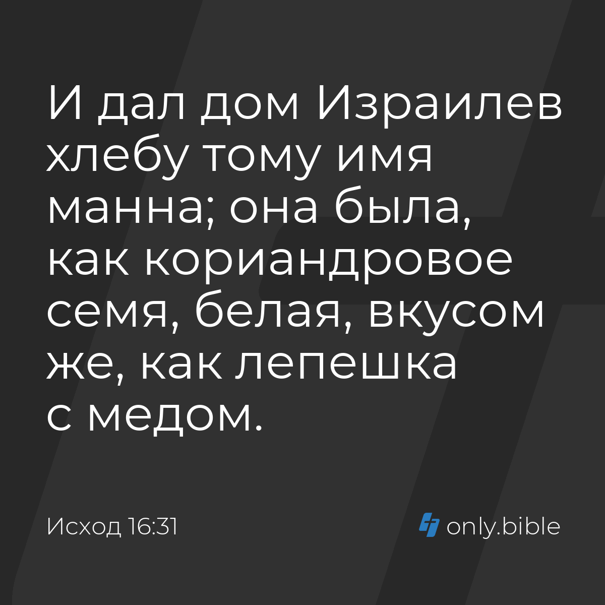 Исход 16:31 / Русский синодальный перевод (Юбилейное издание) | Библия  Онлайн