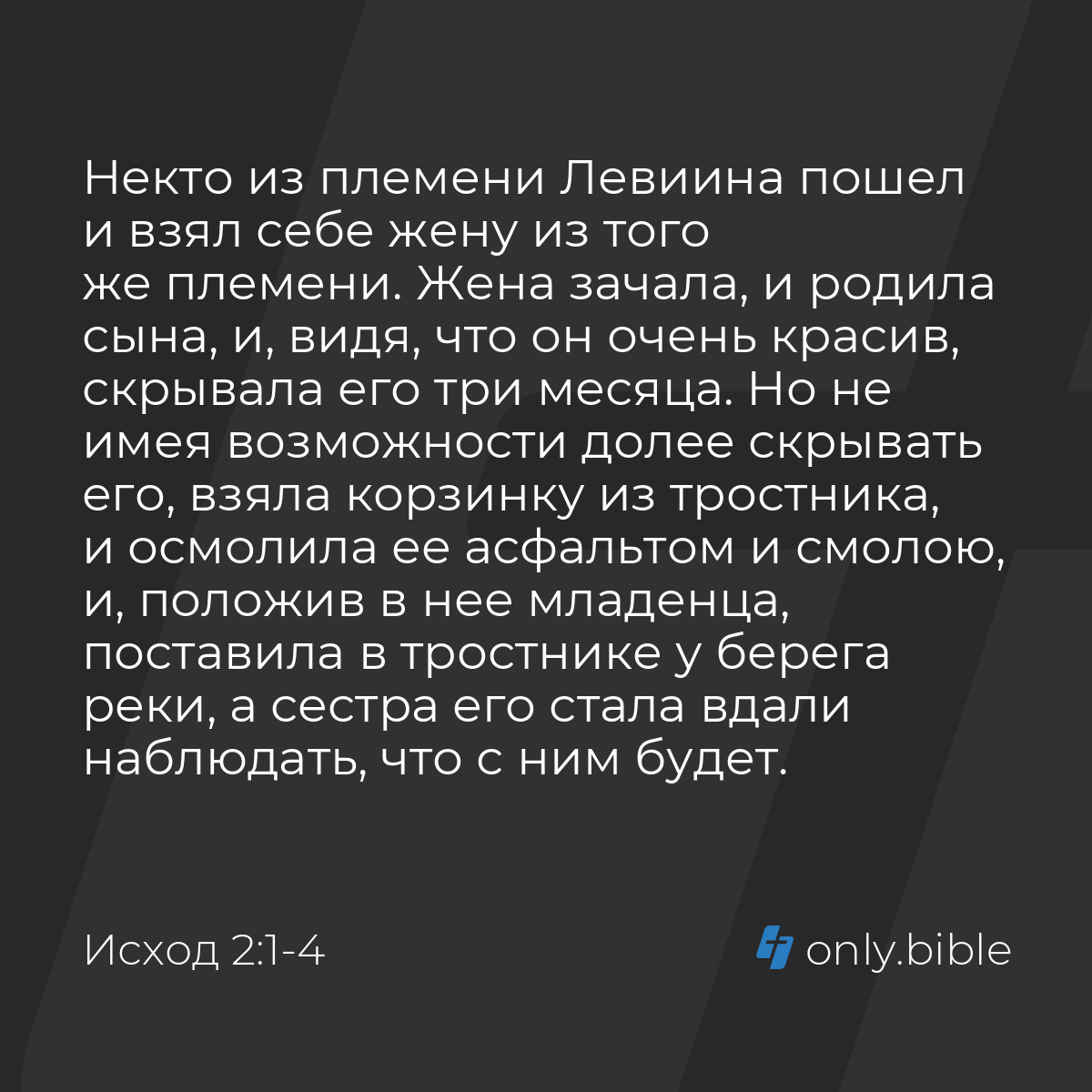 Исход 2:1-10 / Русский синодальный перевод (Юбилейное издание) | Библия  Онлайн