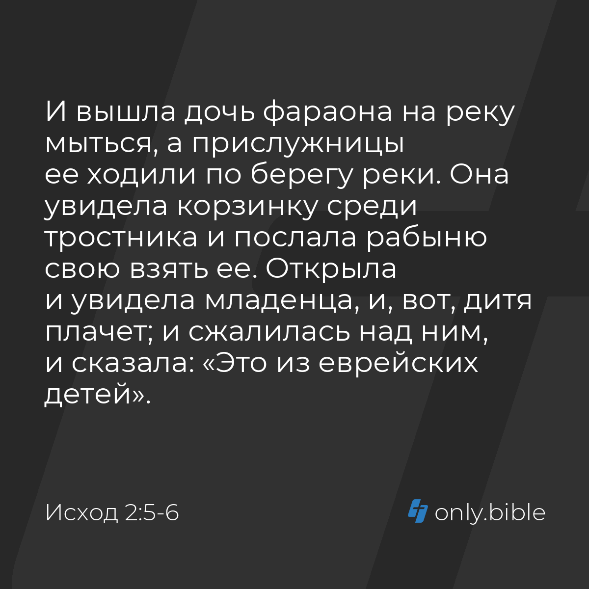 Исход 2:5-6 / Русский синодальный перевод (Юбилейное издание) | Библия  Онлайн