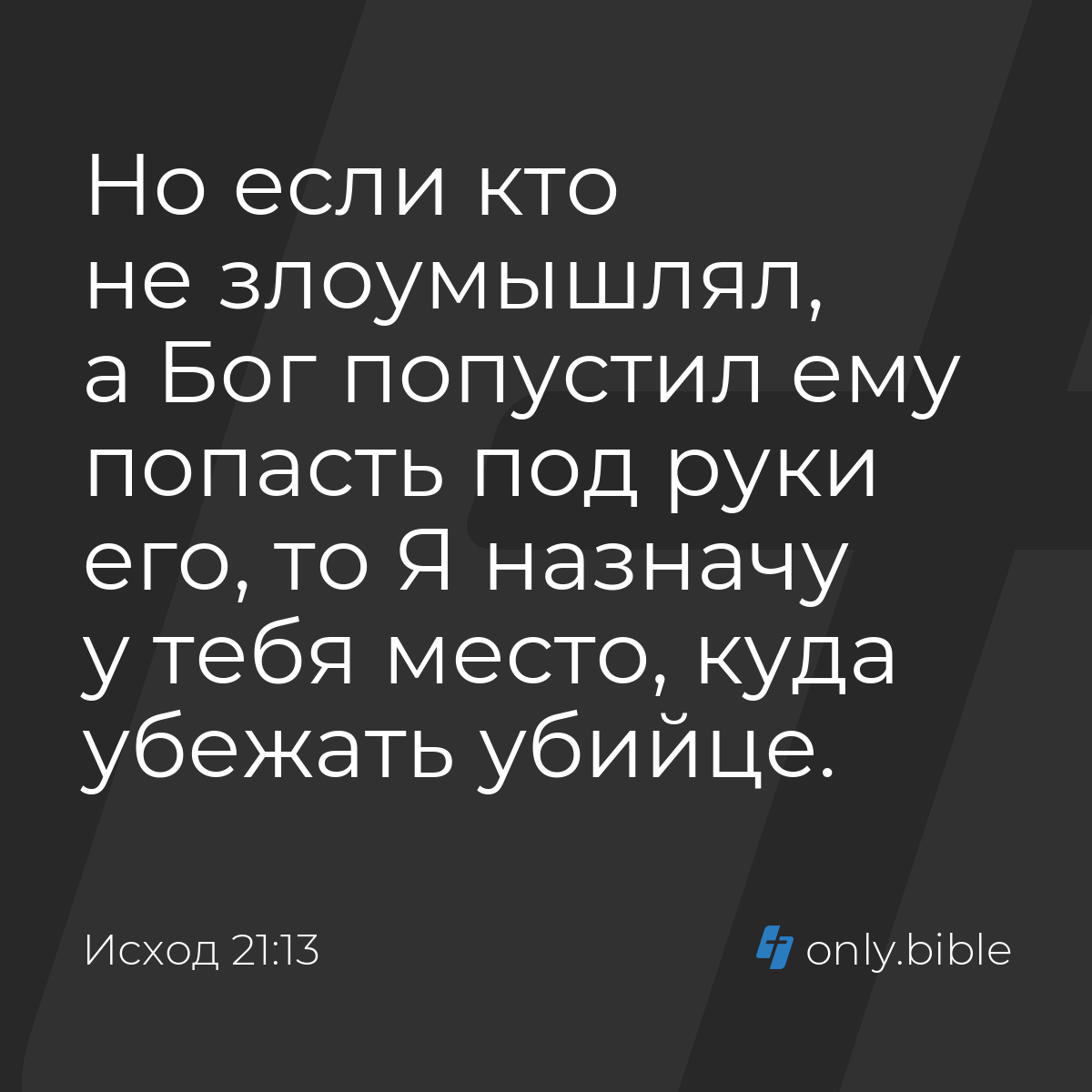 Исход 21:13 / Русский синодальный перевод (Юбилейное издание) | Библия  Онлайн