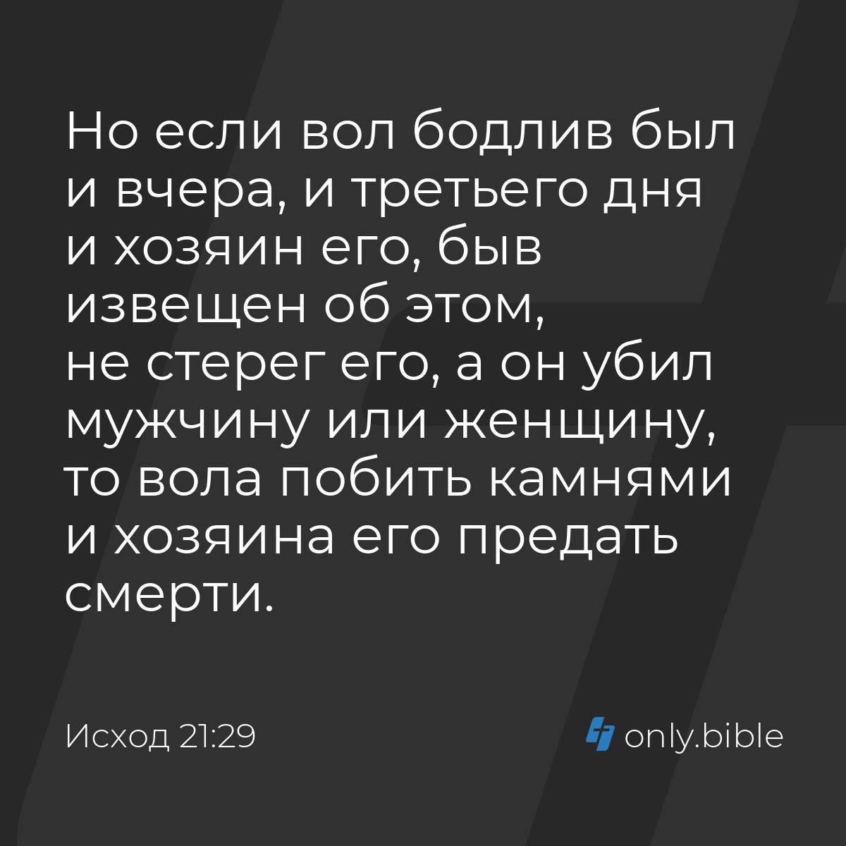 Исход 21:29 / Русский синодальный перевод (Юбилейное издание) | Библия  Онлайн