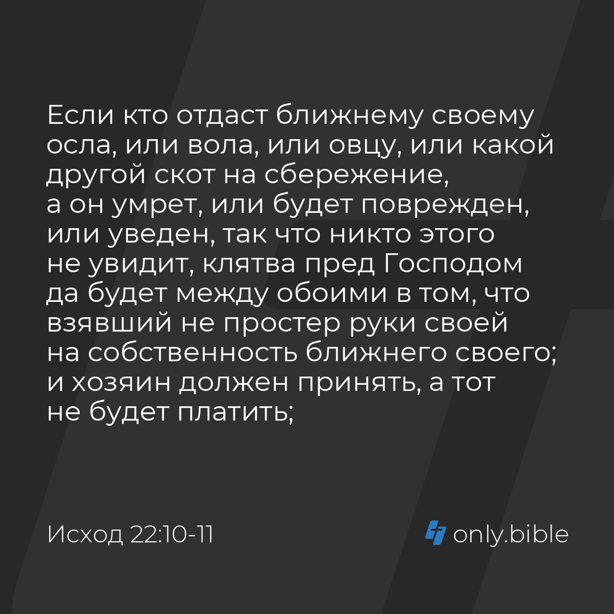 Исход 22:10-11 / Русский синодальный перевод (Юбилейное издание) | Библия  Онлайн