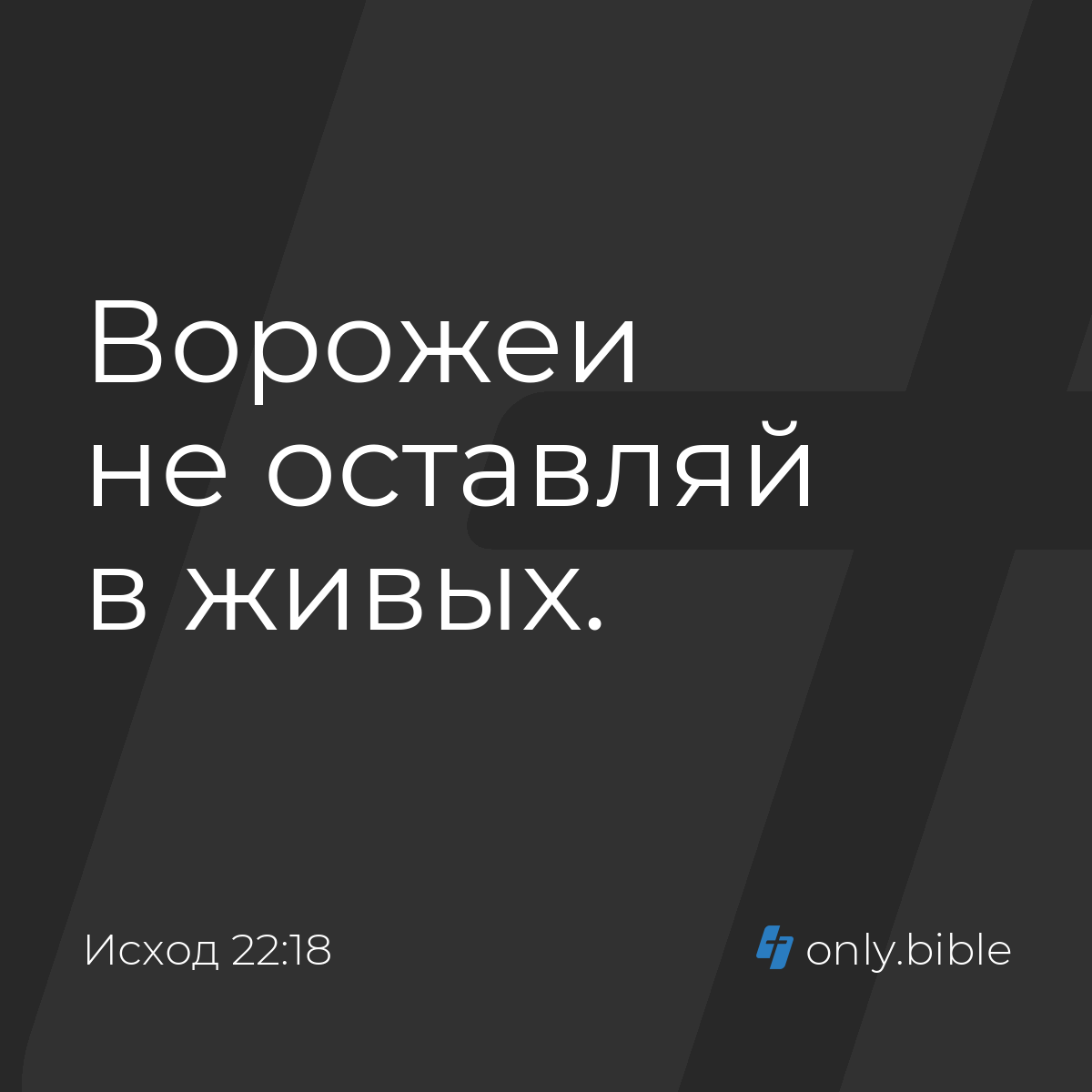 Исход 22:18 / Русский синодальный перевод (Юбилейное издание) | Библия  Онлайн