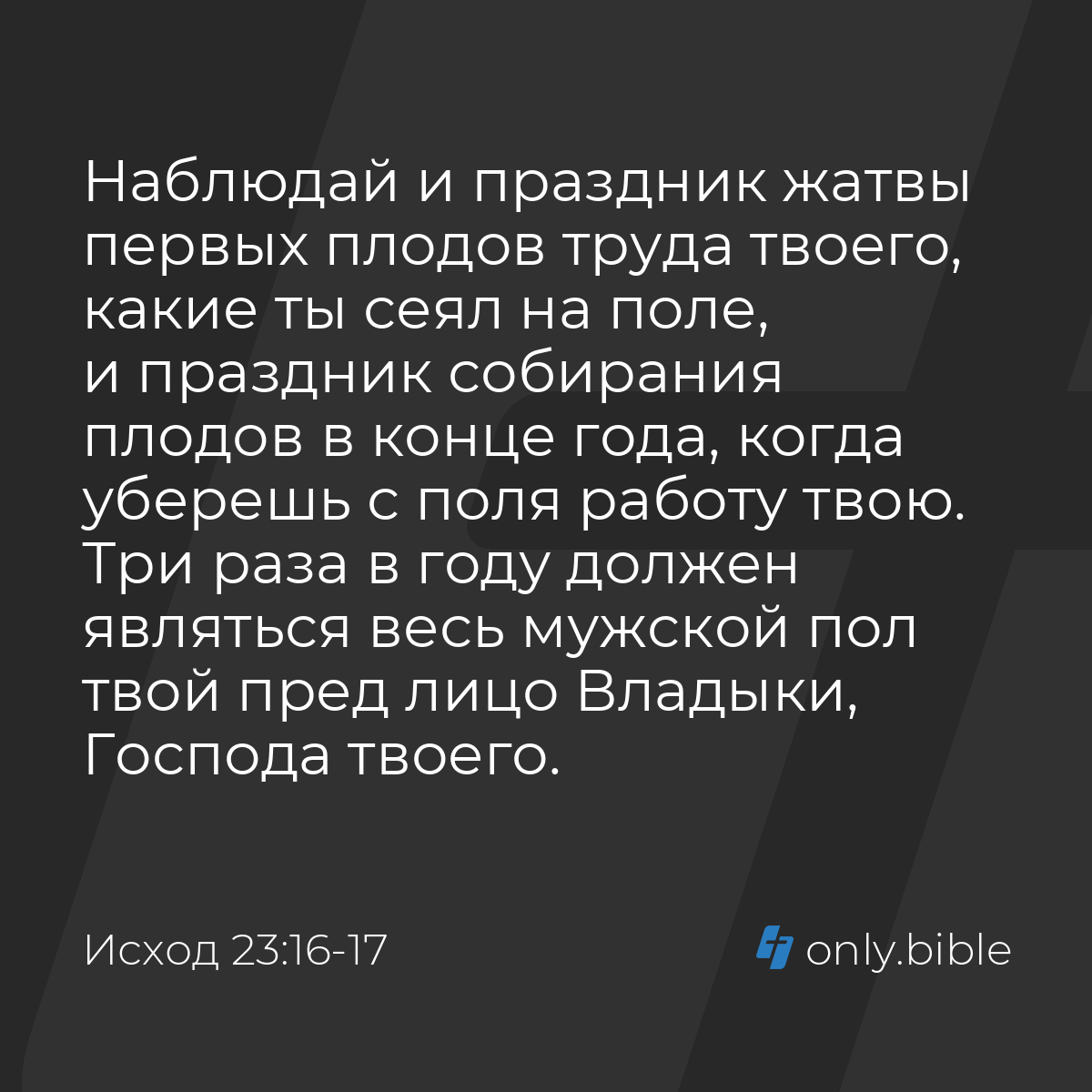 Исход 23:16-17 / Русский синодальный перевод (Юбилейное издание) | Библия  Онлайн