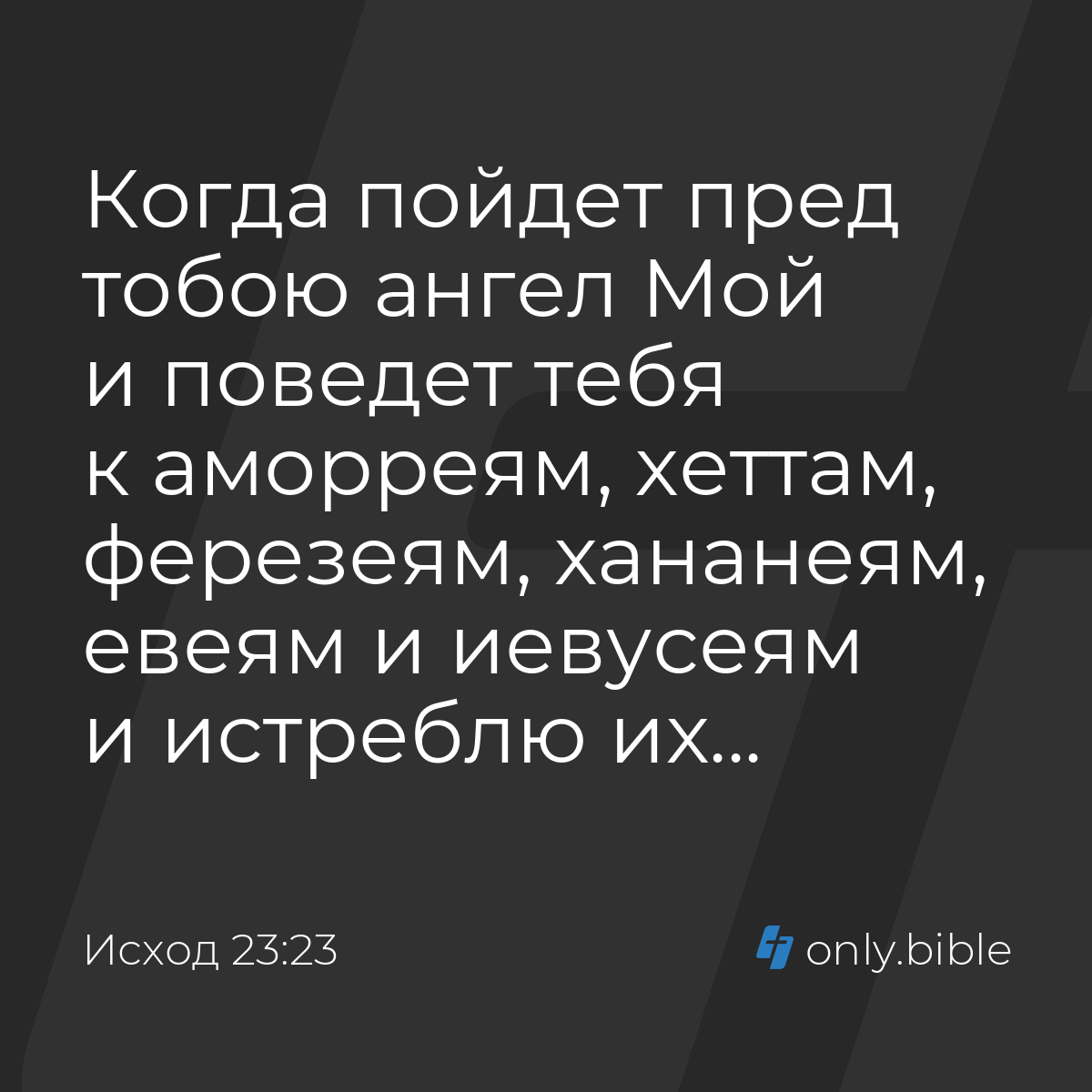 Исход 23:23 / Русский синодальный перевод (Юбилейное издание) | Библия  Онлайн