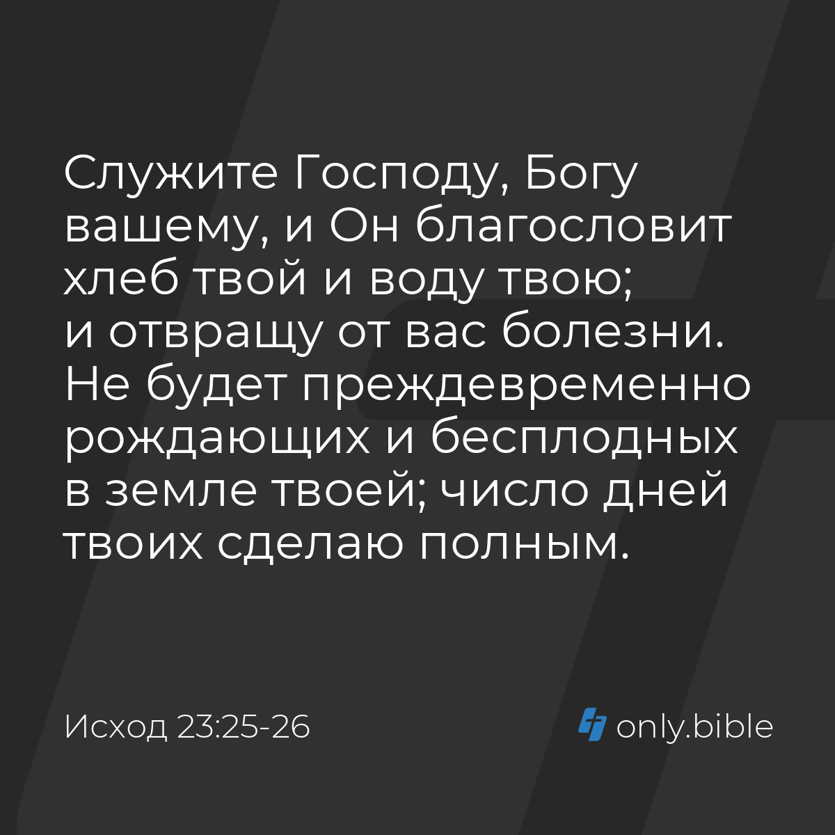 Исход 23:25-26 / Русский синодальный перевод (Юбилейное издание) | Библия  Онлайн