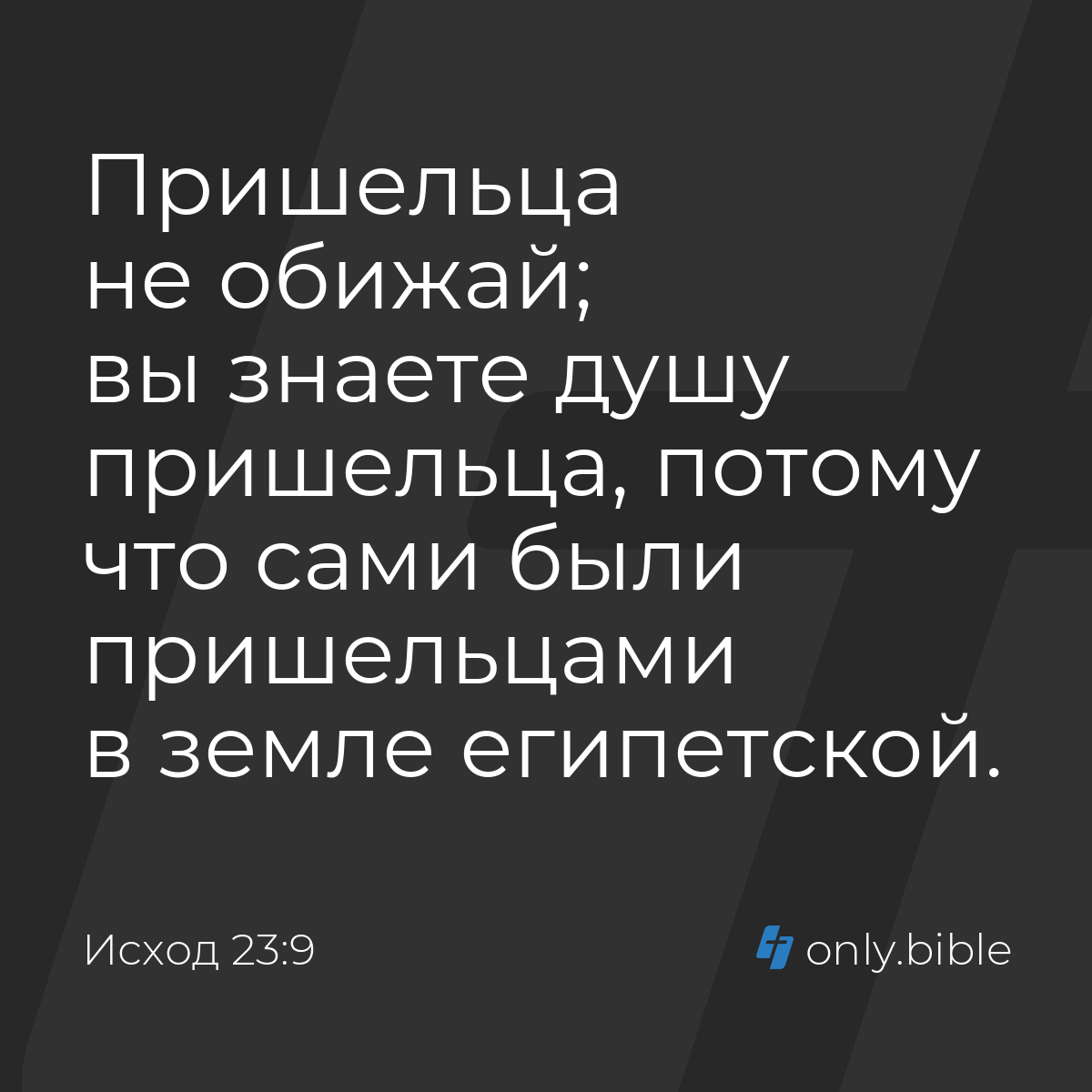 Исход 23:9 / Русский синодальный перевод (Юбилейное издание) | Библия Онлайн