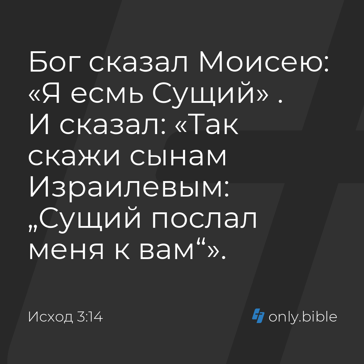 Исход 3:14 / Русский синодальный перевод (Юбилейное издание) | Библия Онлайн