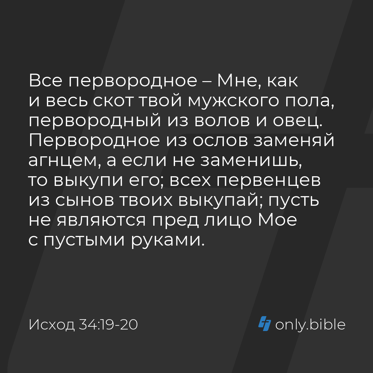 Исход 34:19-20 / Русский синодальный перевод (Юбилейное издание) | Библия  Онлайн