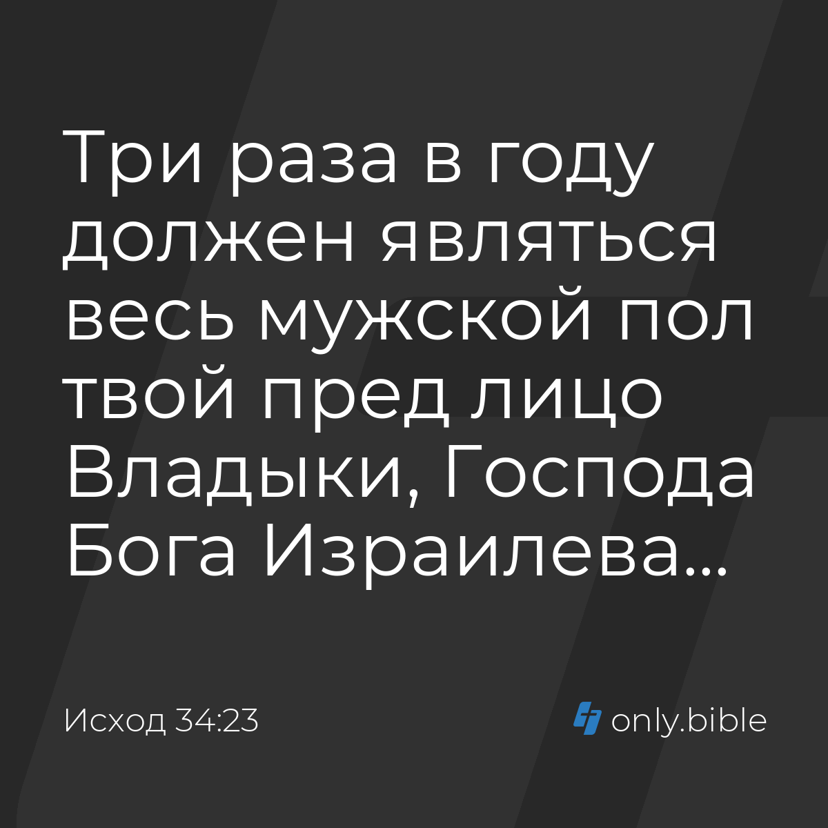 Исход 34:23 / Русский синодальный перевод (Юбилейное издание) | Библия  Онлайн