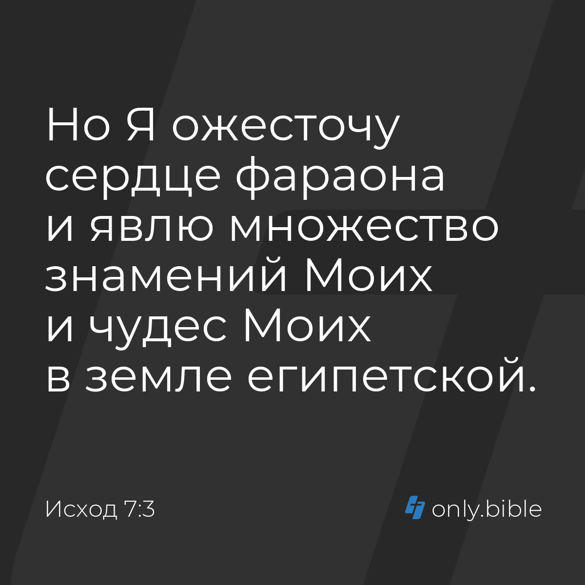 Исход 7:3 / Русский синодальный перевод (Юбилейное издание) | Библия Онлайн