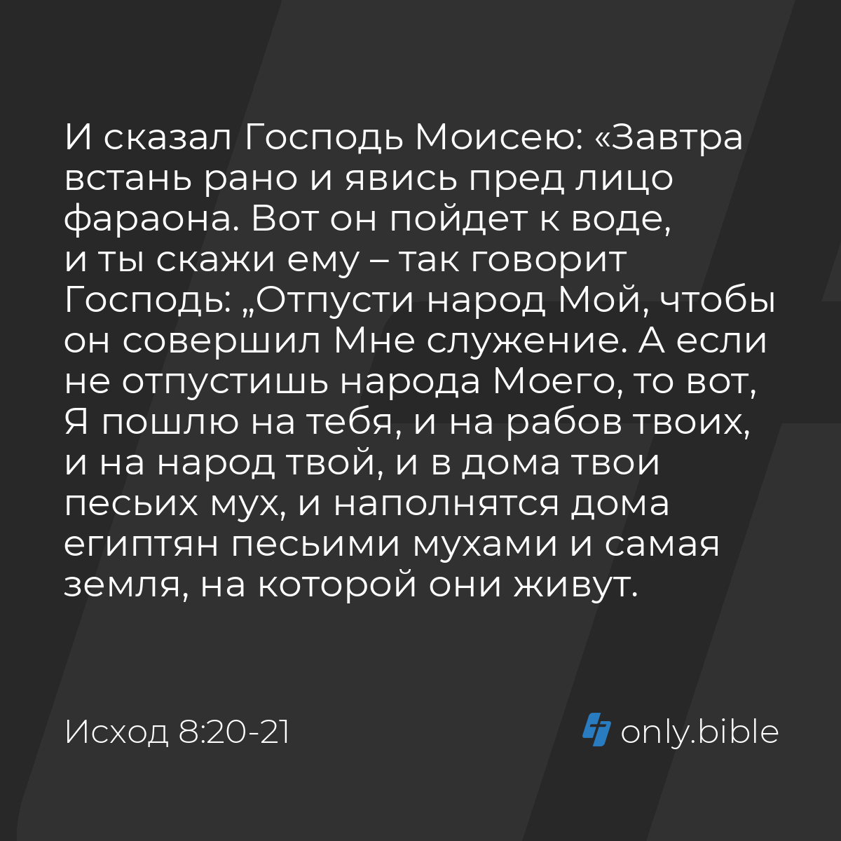 Исход 8:20-21 / Русский синодальный перевод (Юбилейное издание) | Библия  Онлайн