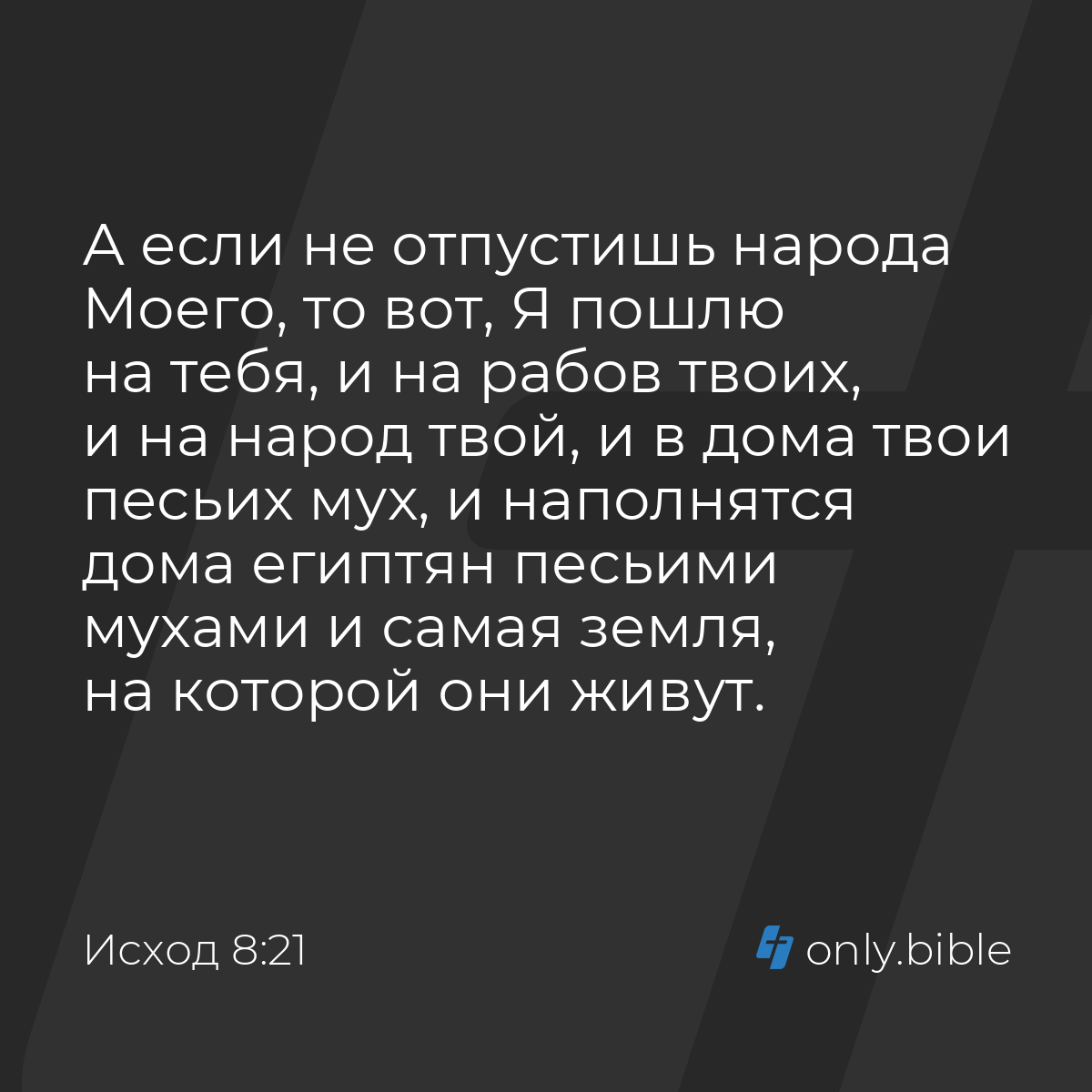 Исход 8:21 / Русский синодальный перевод (Юбилейное издание) | Библия Онлайн