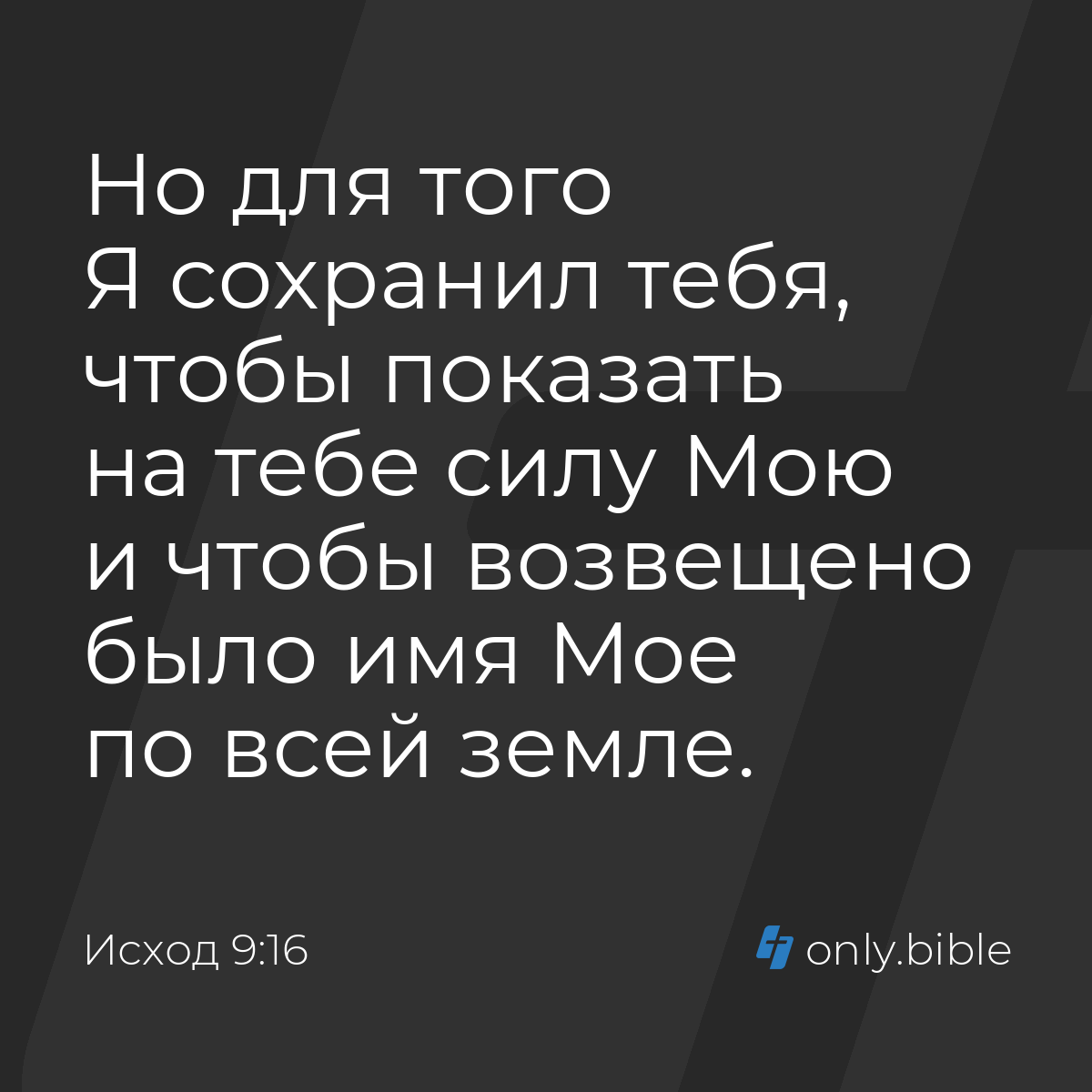 Исход 9:16 / Русский синодальный перевод (Юбилейное издание) | Библия Онлайн