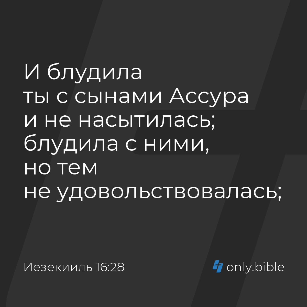 Иезекииль 16:28 / Русский синодальный перевод (Юбилейное издание) | Библия  Онлайн