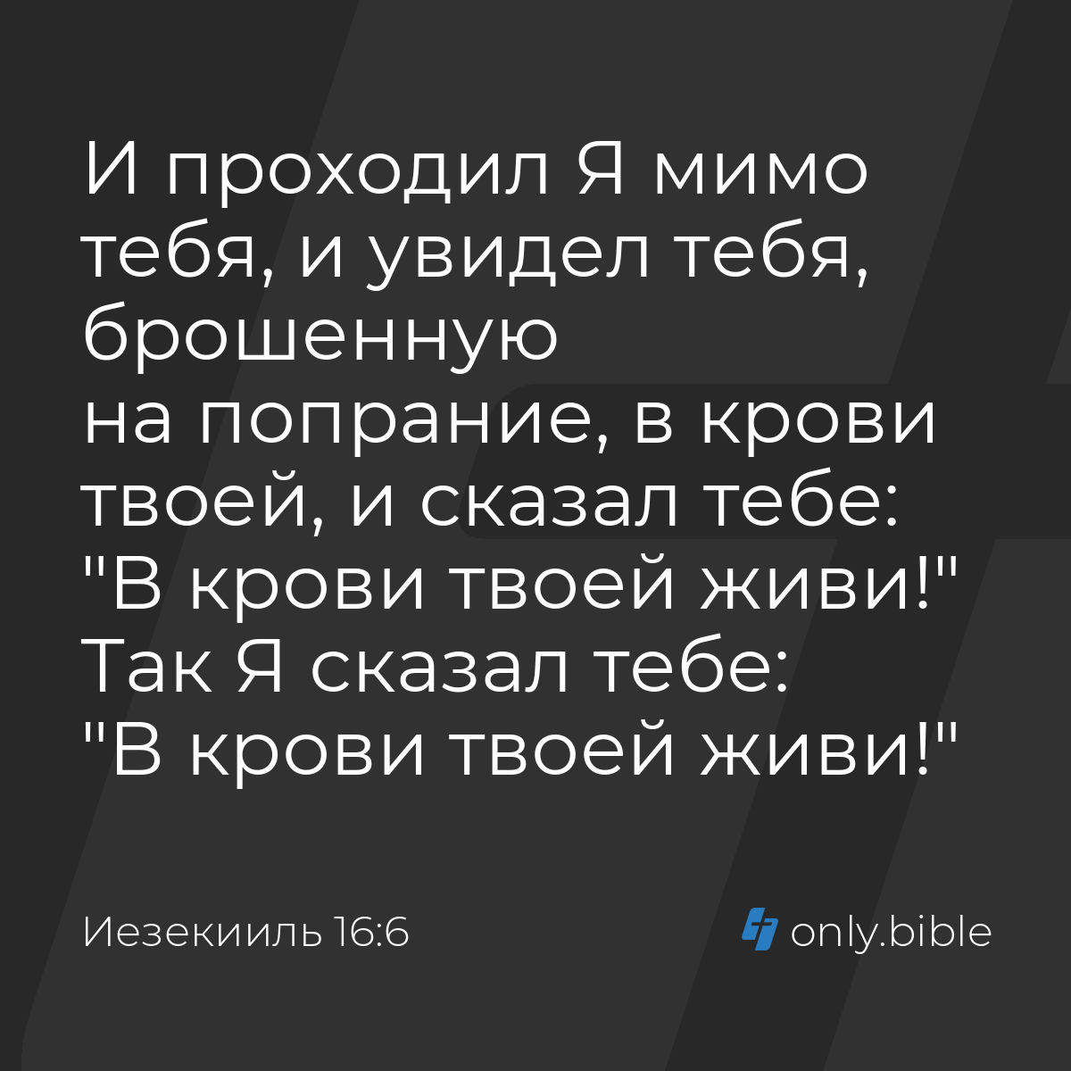 Иезекииль 16:6 / Русский синодальный перевод (Юбилейное издание) | Библия  Онлайн