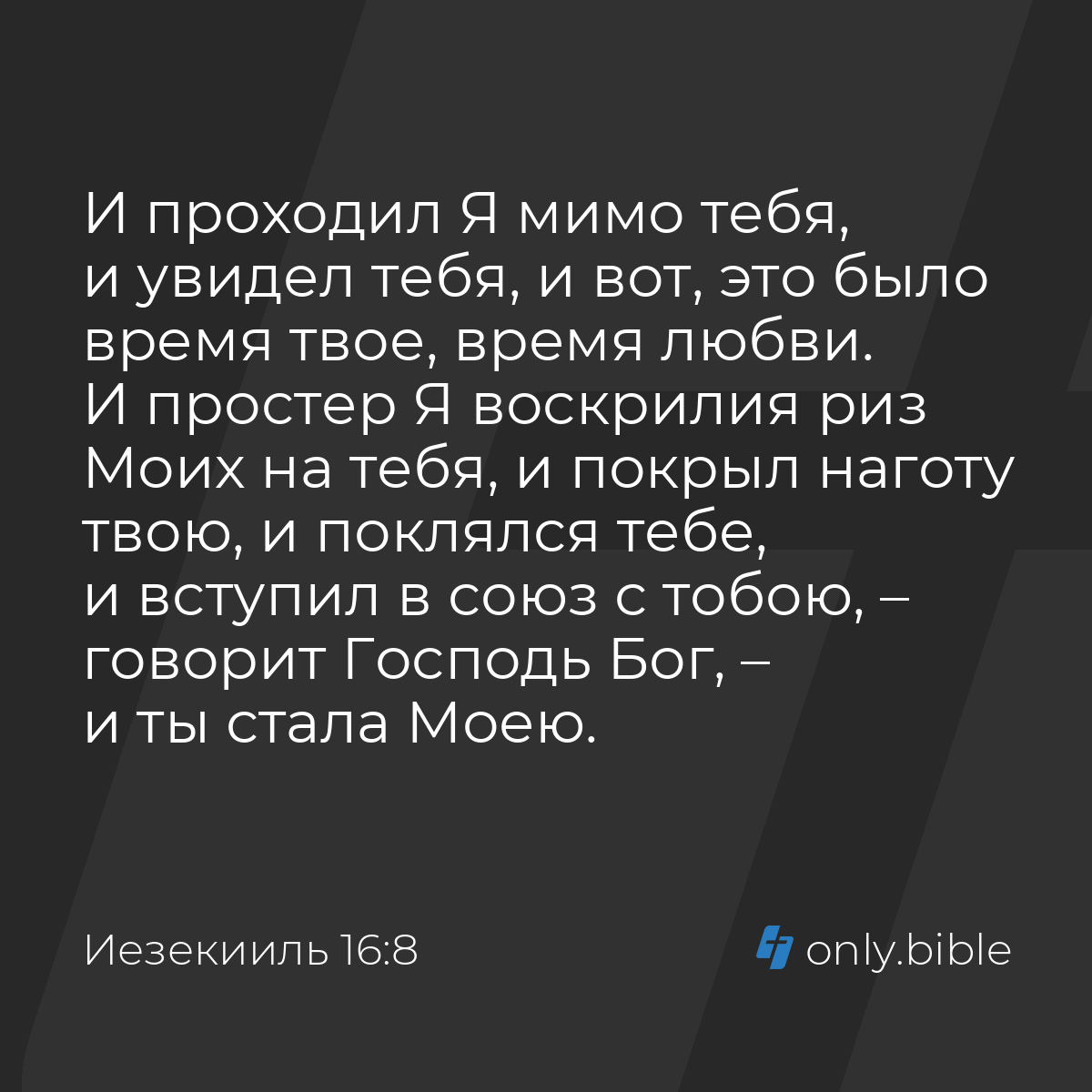 Иезекииль 16:8 / Русский синодальный перевод (Юбилейное издание) | Библия  Онлайн