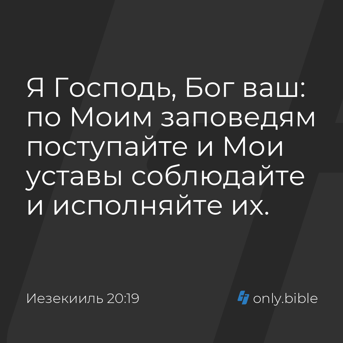 Иезекииль 20:19 / Русский синодальный перевод (Юбилейное издание) | Библия  Онлайн