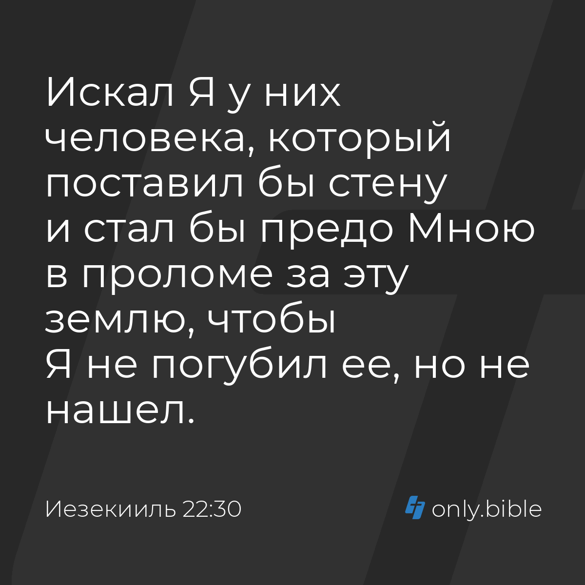 Иезекииль 22:30 / Русский синодальный перевод (Юбилейное издание) | Библия  Онлайн