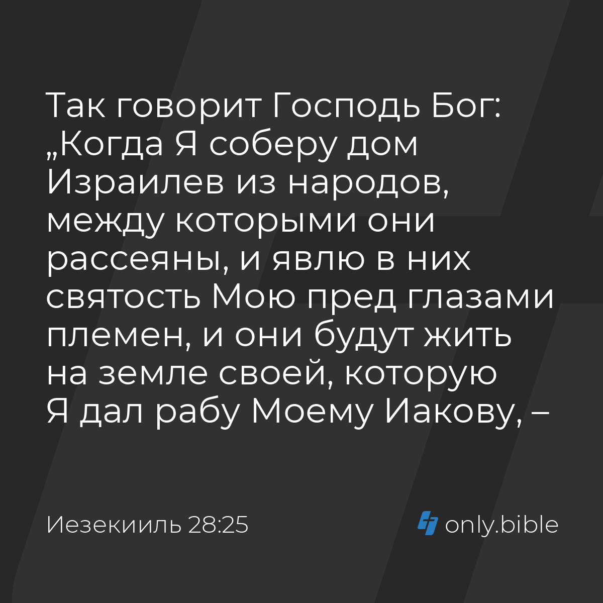 Иезекииль 28:25 / Русский синодальный перевод (Юбилейное издание) | Библия  Онлайн