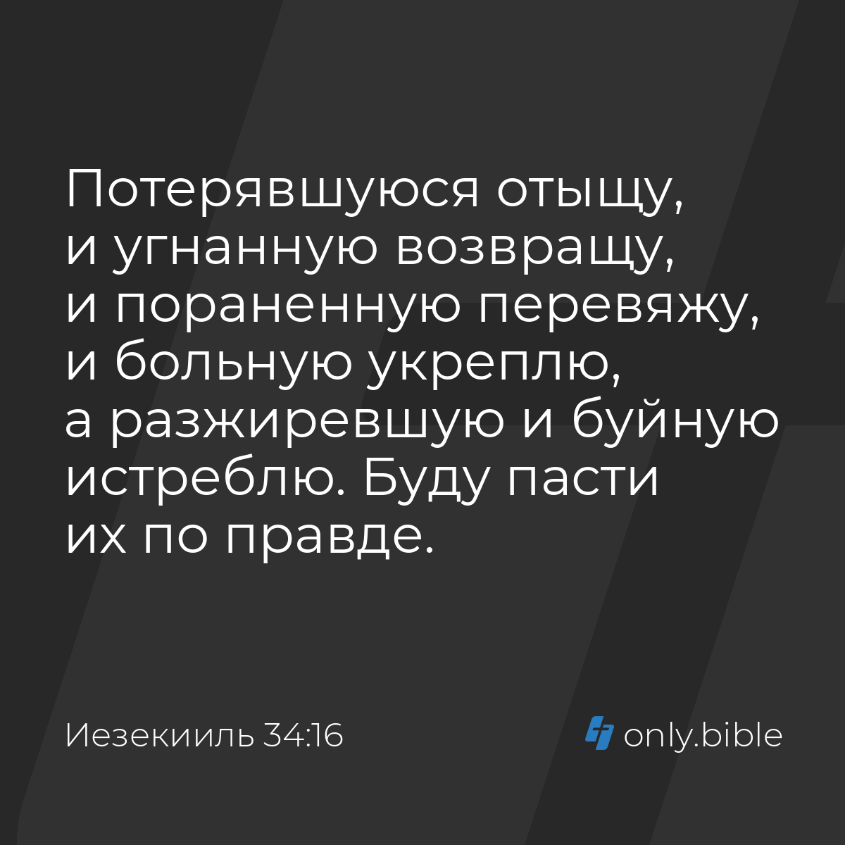 Иезекииль 34:16 / Русский синодальный перевод (Юбилейное издание) | Библия  Онлайн