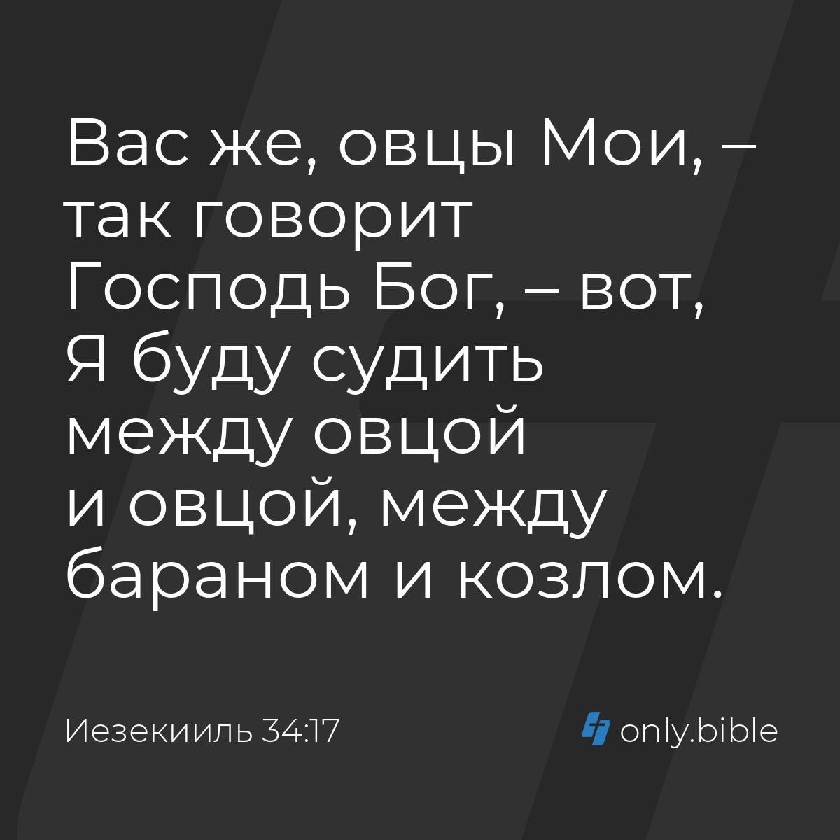 Иезекииль 34:17 / Русский синодальный перевод (Юбилейное издание) | Библия  Онлайн