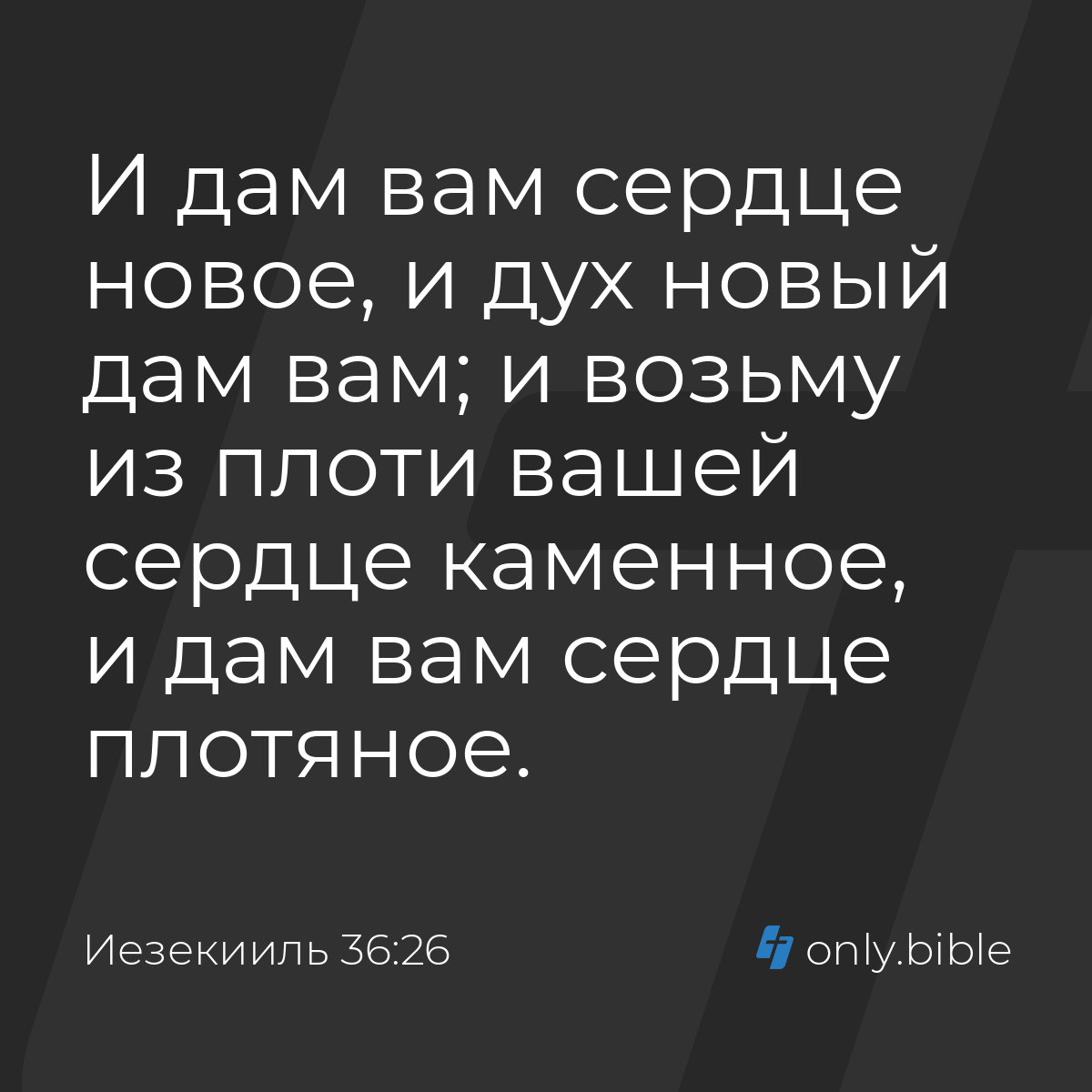 Иезекииль 36:26 / Русский синодальный перевод (Юбилейное издание) | Библия  Онлайн