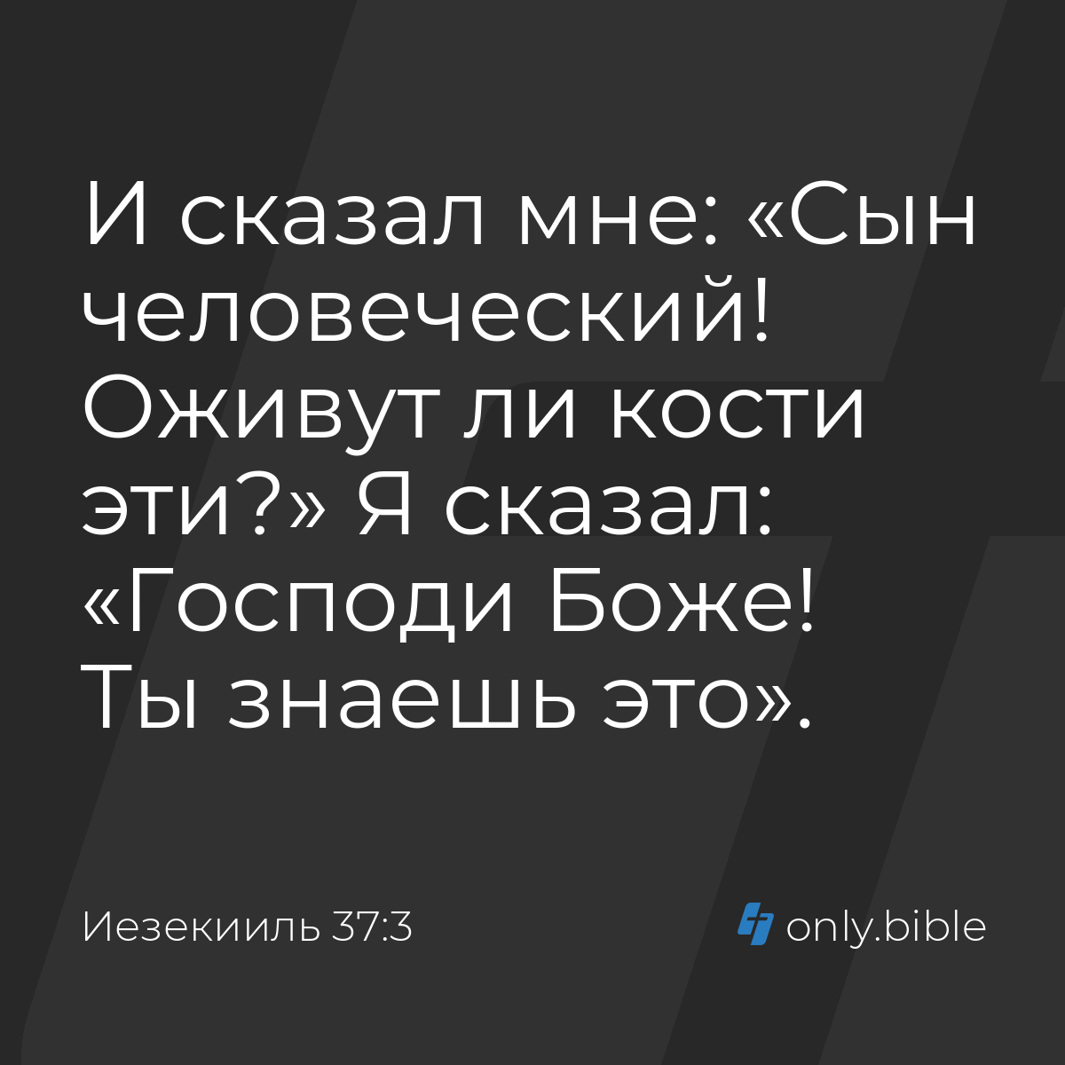 Иезекииль 37:3 / Русский синодальный перевод (Юбилейное издание) | Библия  Онлайн