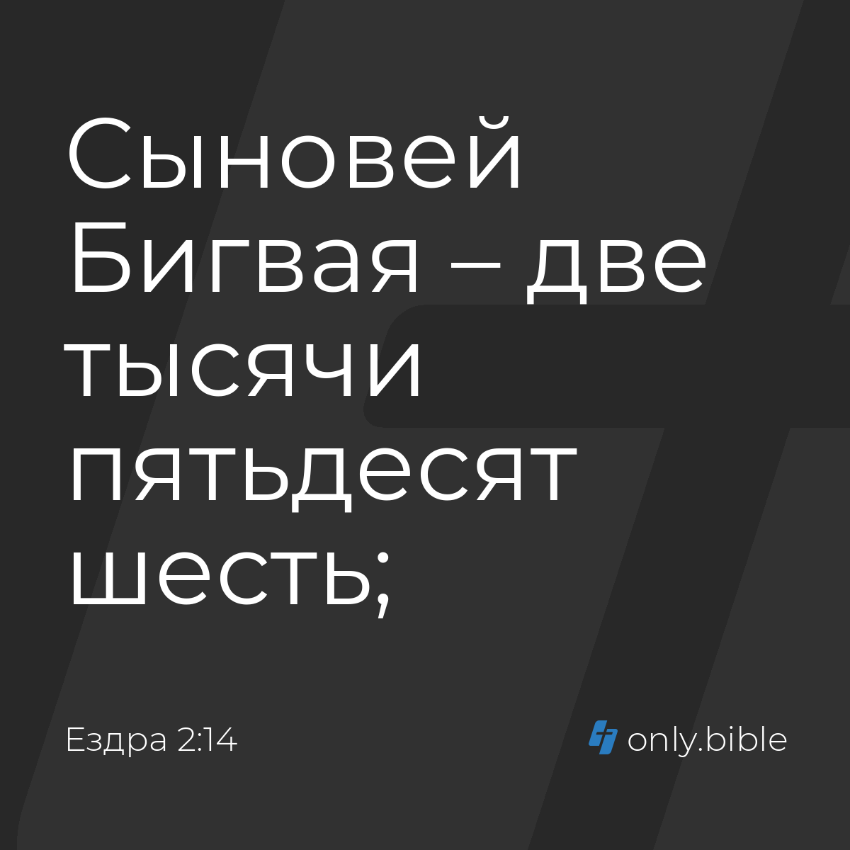 Ездра 2:14 / Русский синодальный перевод (Юбилейное издание) | Библия Онлайн