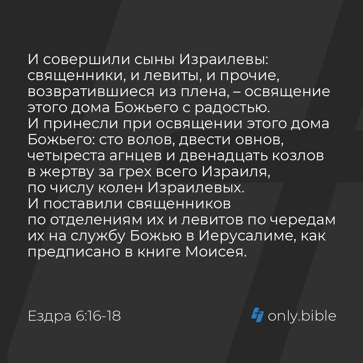 Ездра 6:16-18 / Русский синодальный перевод (Юбилейное издание) | Библия  Онлайн