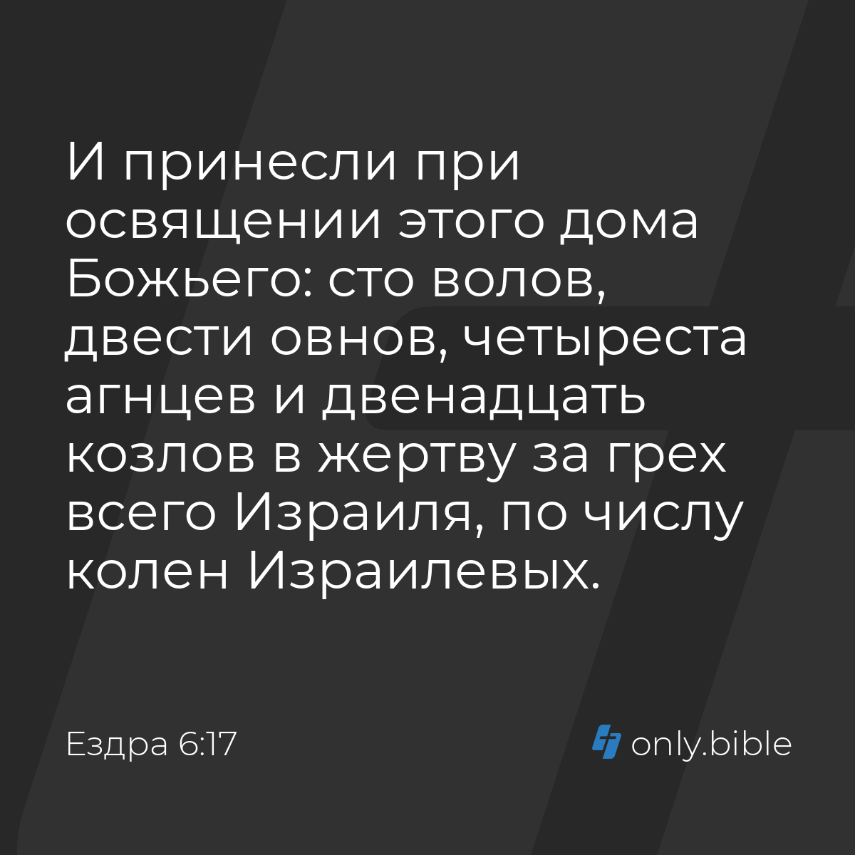 Ездра 6:17 / Русский синодальный перевод (Юбилейное издание) | Библия Онлайн