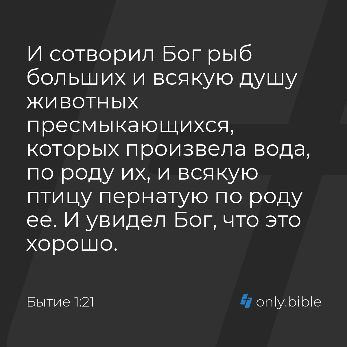 Бытие 1:21 / Русский синодальный перевод (Юбилейное издание) | Библия Онлайн