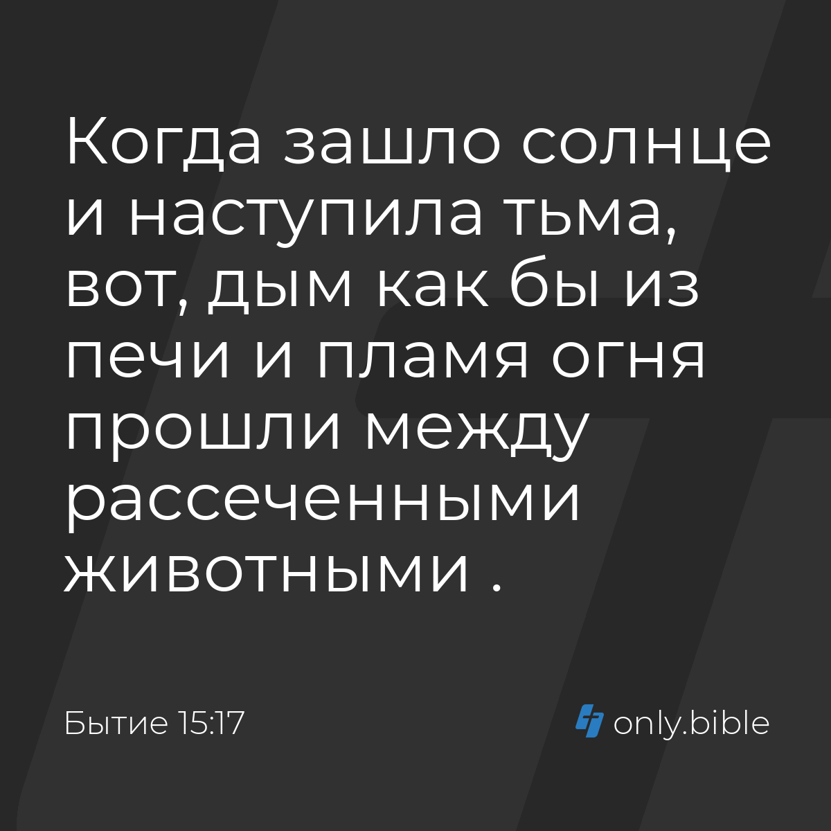 Бытие 15:17 / Русский синодальный перевод (Юбилейное издание) | Библия  Онлайн