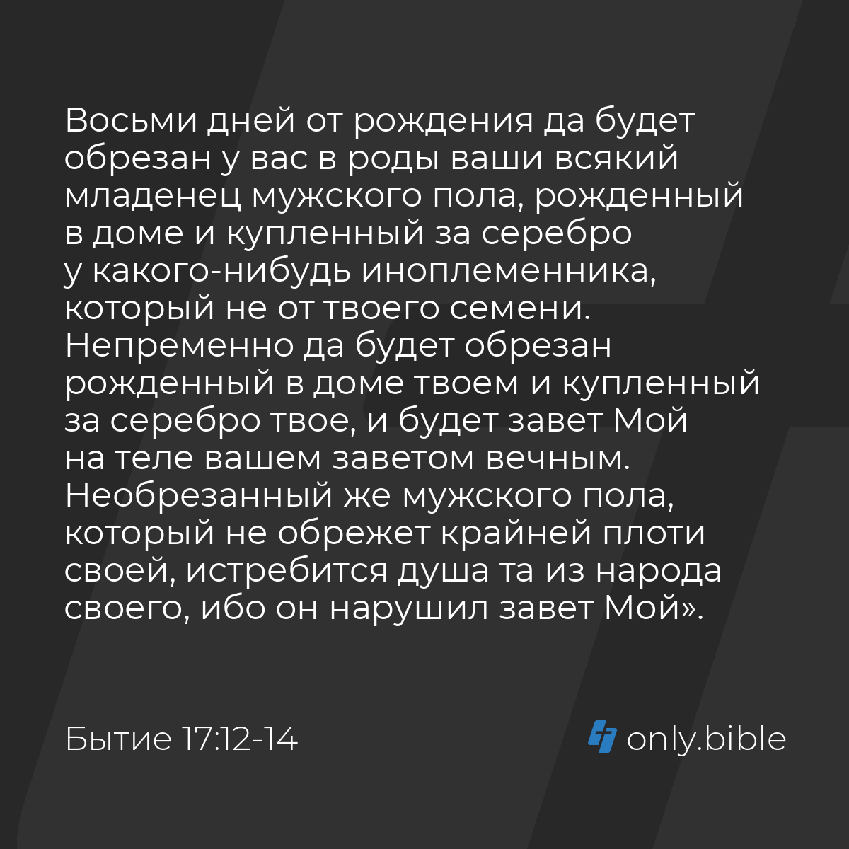 Бытие 17:12-14 / Русский синодальный перевод (Юбилейное издание) | Библия  Онлайн