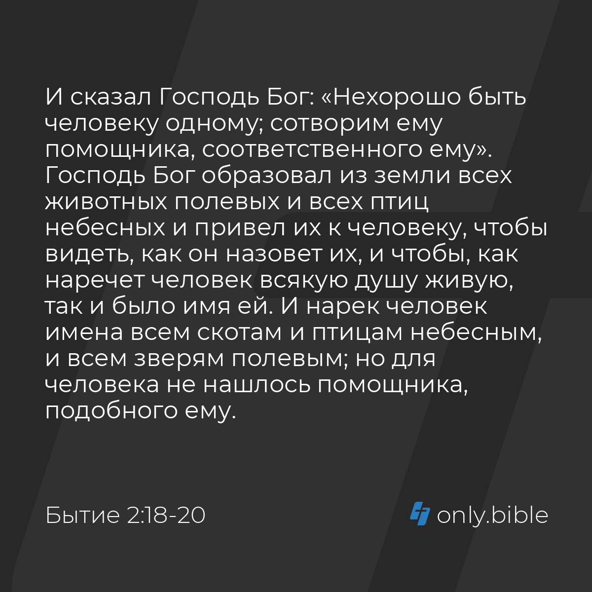 Бытие 2:18-25 / Русский синодальный перевод (Юбилейное издание) | Библия  Онлайн