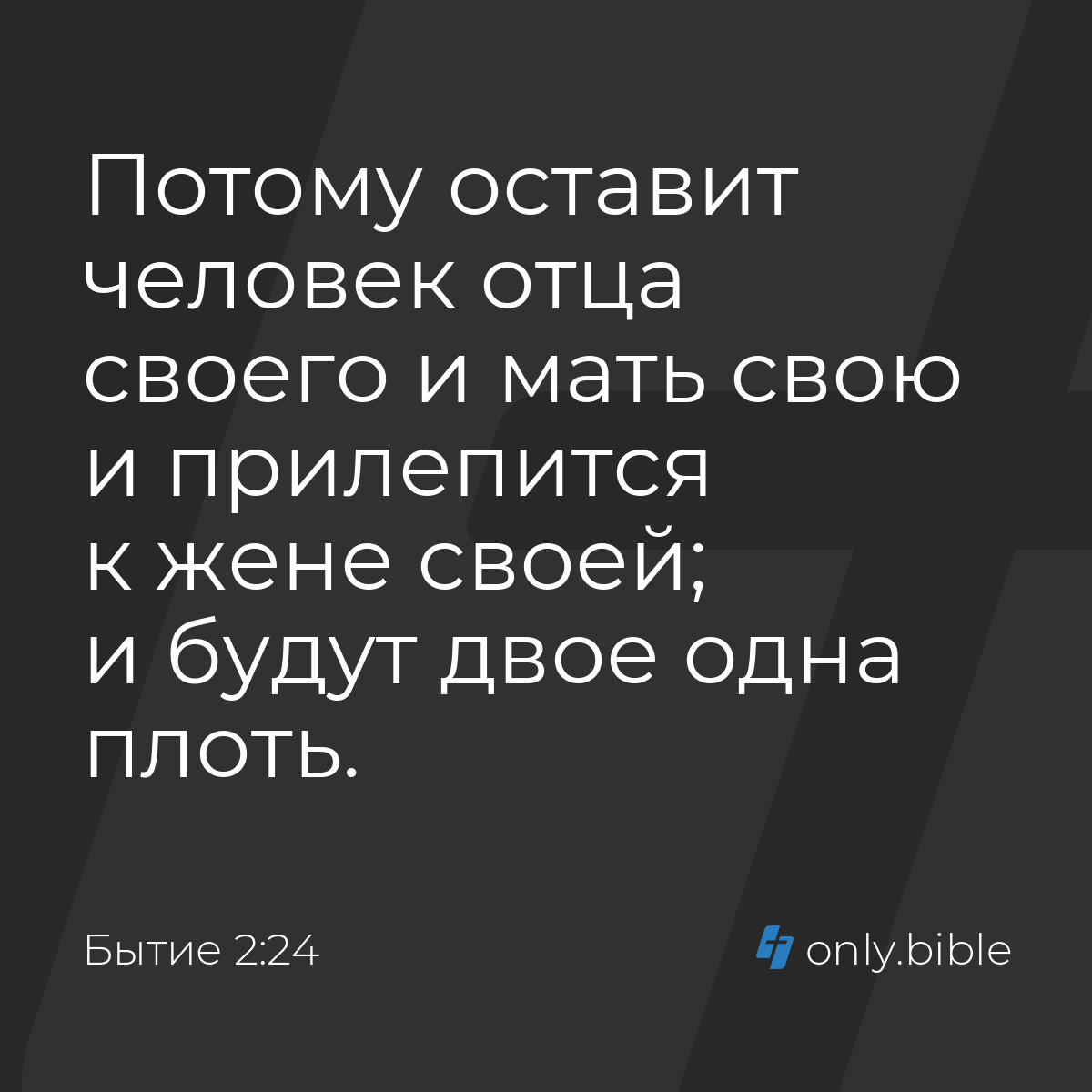 У меня есть две мамы. Первая - потрясающе и кажется, мне не суждено в нем победить.