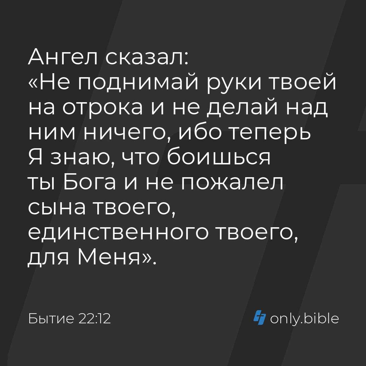 Бытие 22:12 / Русский синодальный перевод (Юбилейное издание) | Библия  Онлайн