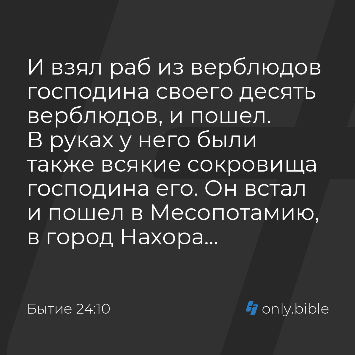 Бытие 24:10 / Русский синодальный перевод (Юбилейное издание) | Библия  Онлайн