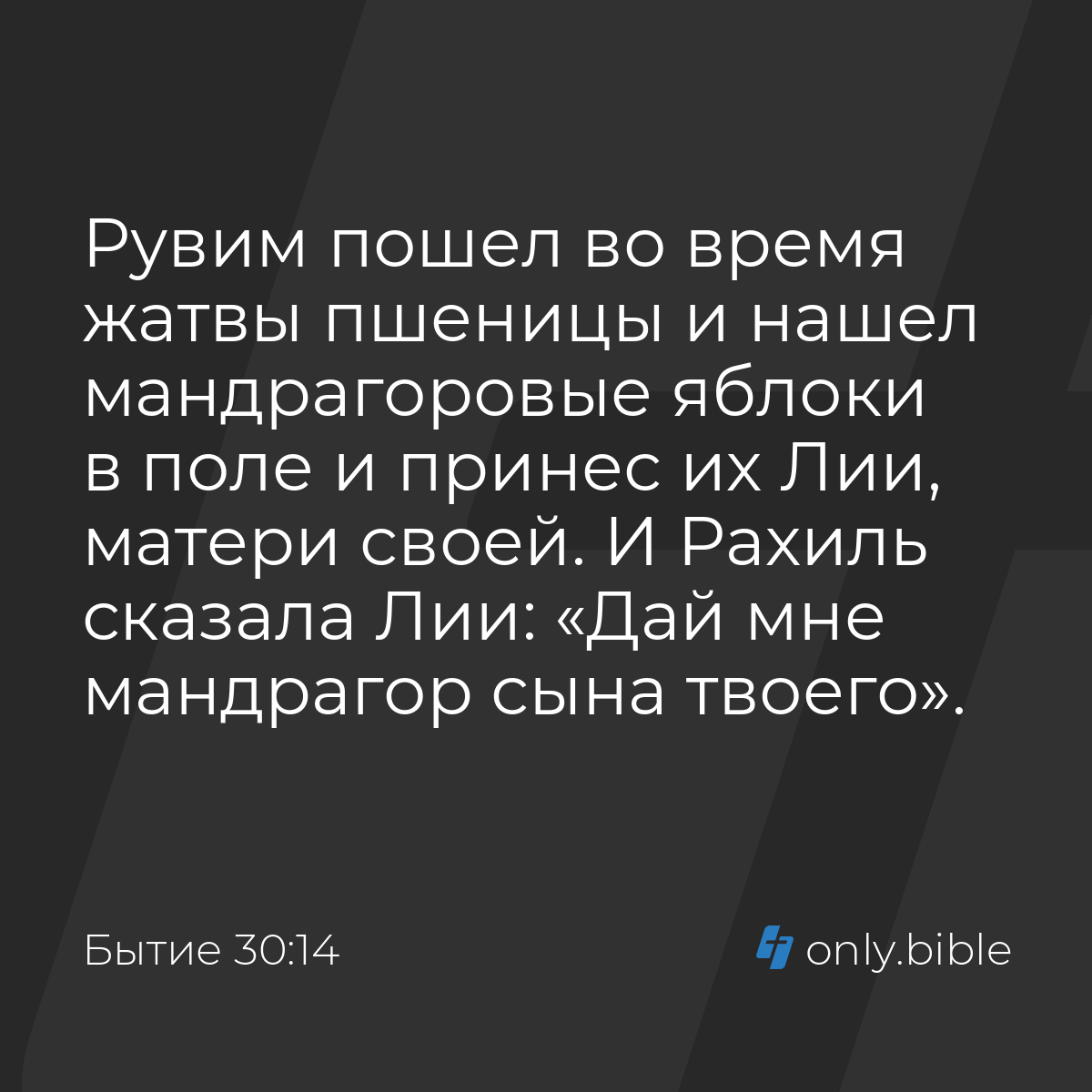 Бытие 30:14 / Русский синодальный перевод (Юбилейное издание) | Библия  Онлайн