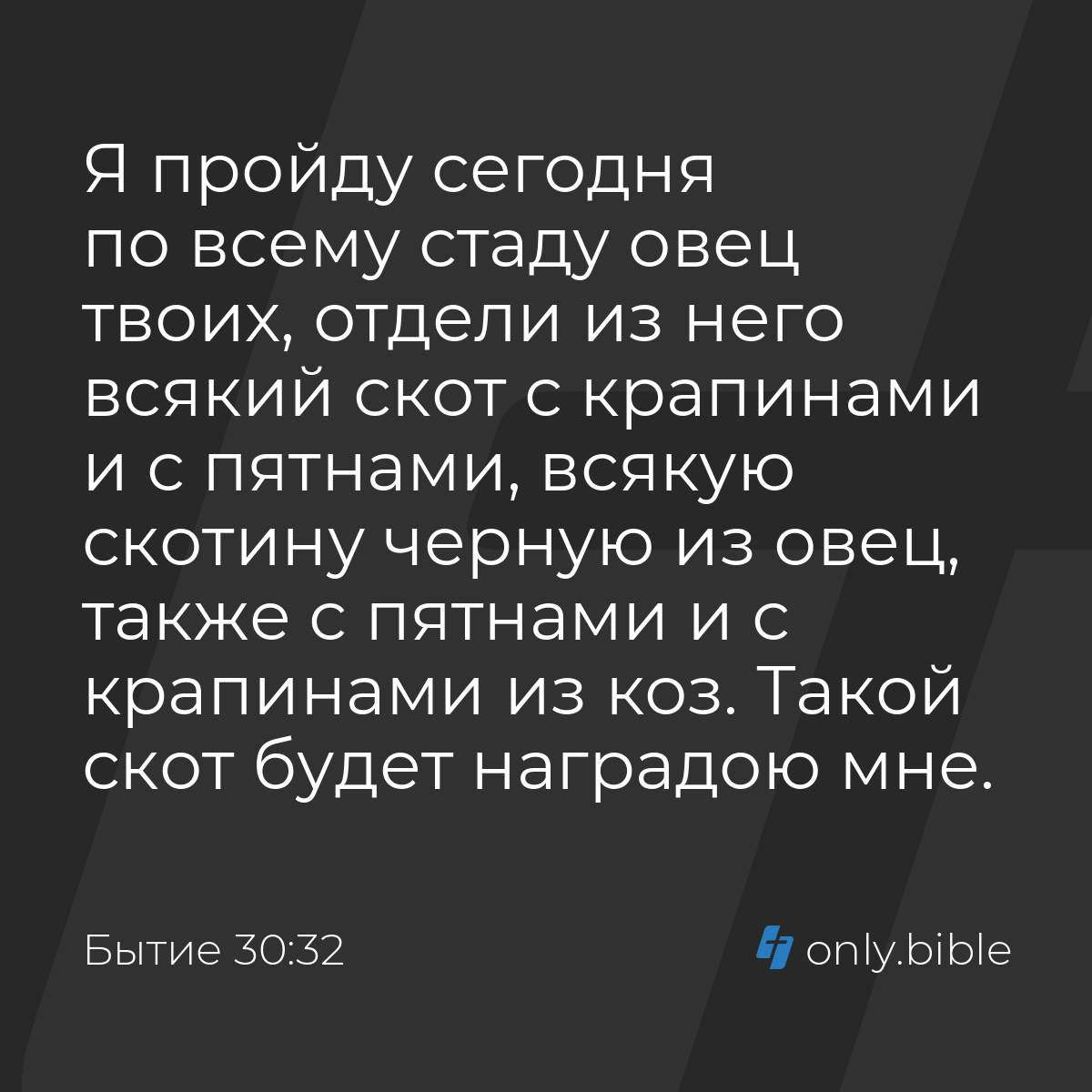 Порнодағы жас ұшқыштар Шлюхалардың порно фотосуреттері