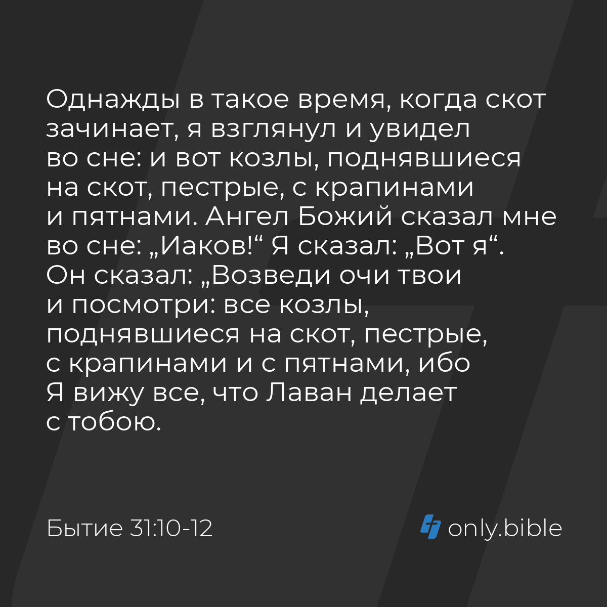 Бытие 31:10-13 / Русский синодальный перевод (Юбилейное издание) | Библия  Онлайн