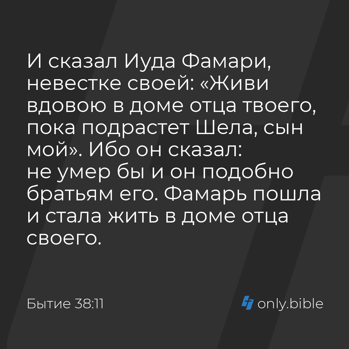 Бытие 38:11 / Русский синодальный перевод (Юбилейное издание) | Библия  Онлайн